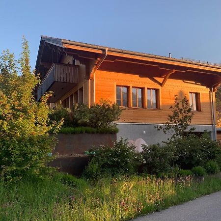 Chalet Park Apartment Mit Sauna Hamam Diemtigen 外观 照片