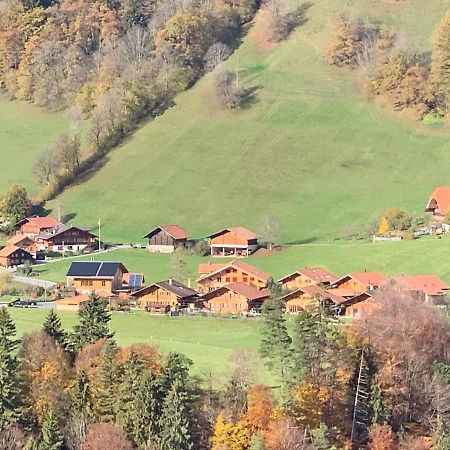 Chalet Park Apartment Mit Sauna Hamam Diemtigen 外观 照片
