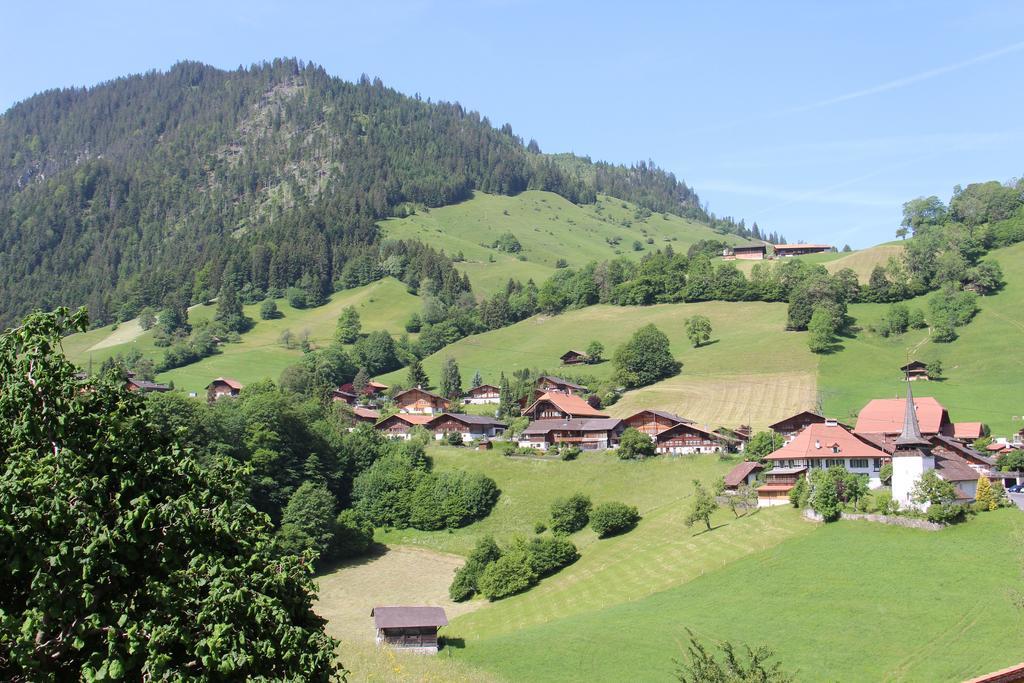 Chalet Park Apartment Mit Sauna Hamam Diemtigen 客房 照片