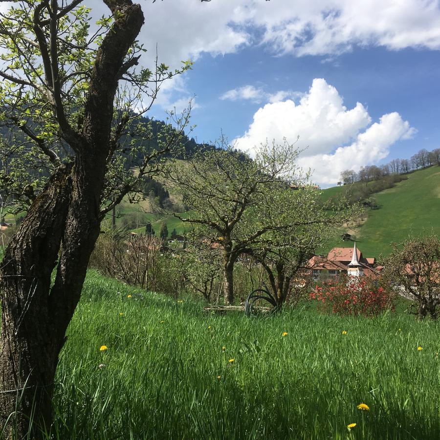 Chalet Park Apartment Mit Sauna Hamam Diemtigen 外观 照片