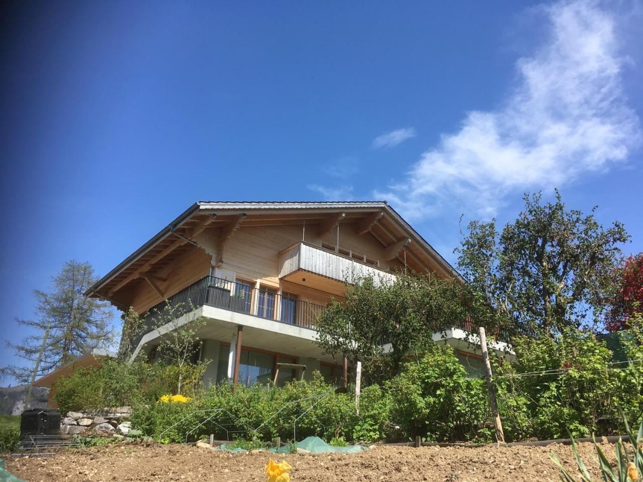 Chalet Park Apartment Mit Sauna Hamam Diemtigen 外观 照片