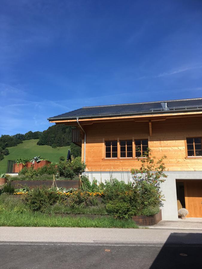 Chalet Park Apartment Mit Sauna Hamam Diemtigen 外观 照片