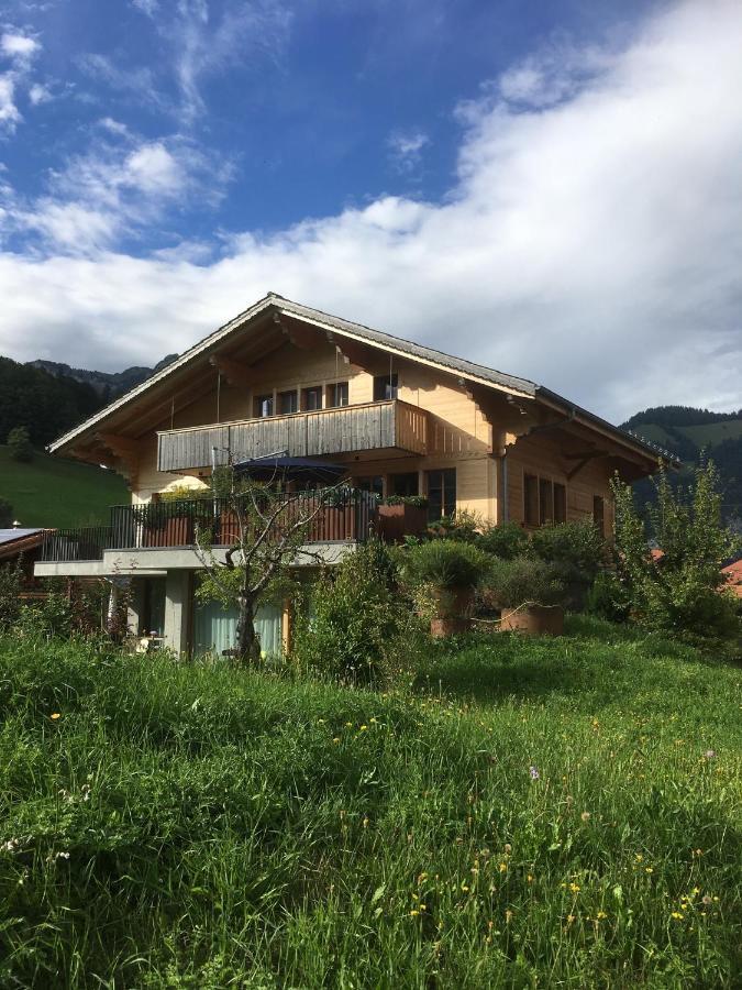 Chalet Park Apartment Mit Sauna Hamam Diemtigen 外观 照片