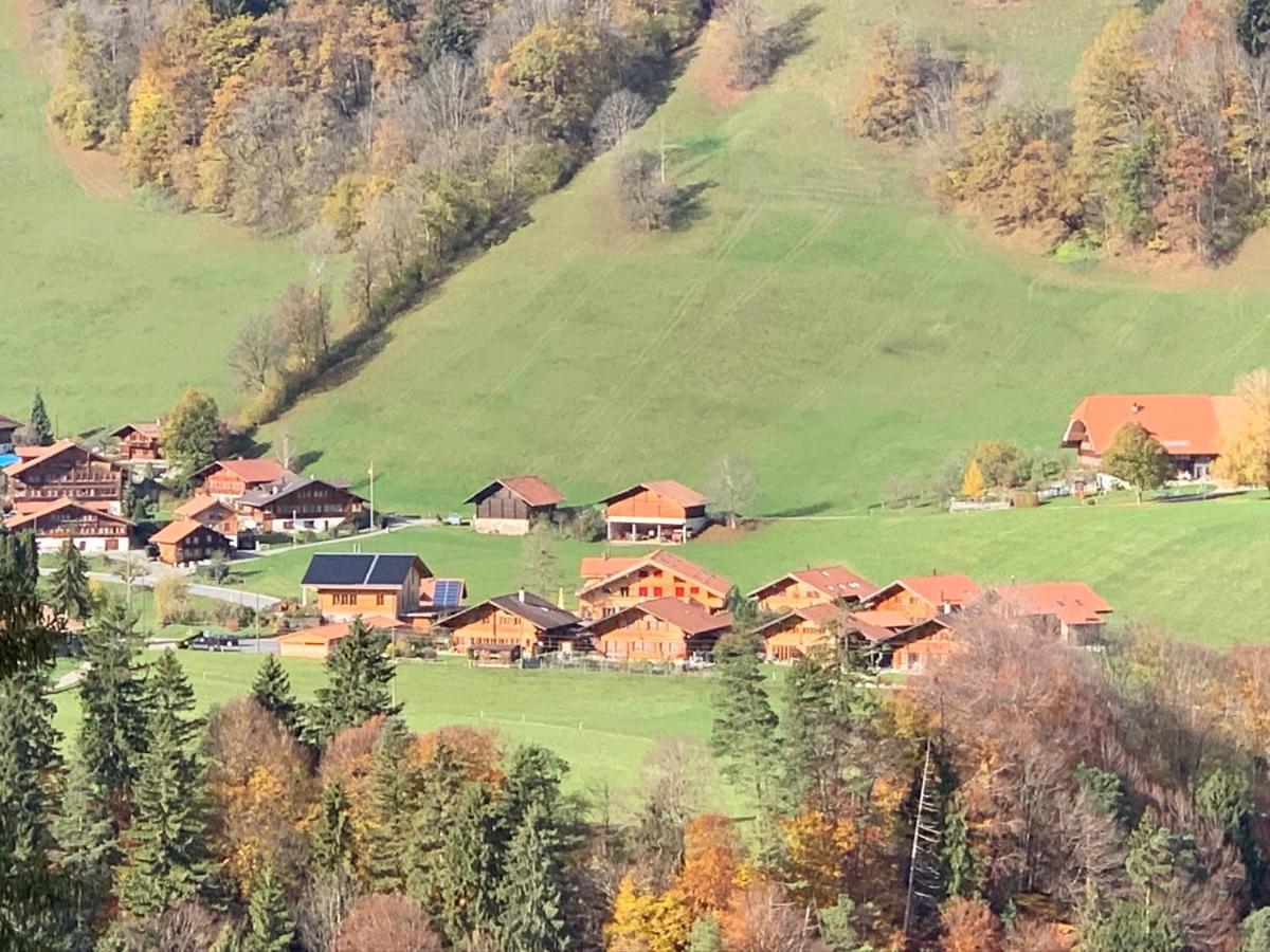 Chalet Park Apartment Mit Sauna Hamam Diemtigen 外观 照片
